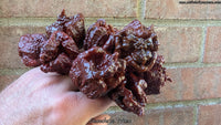 Chocolate Primo - Pepper Seeds - White Hot Peppers